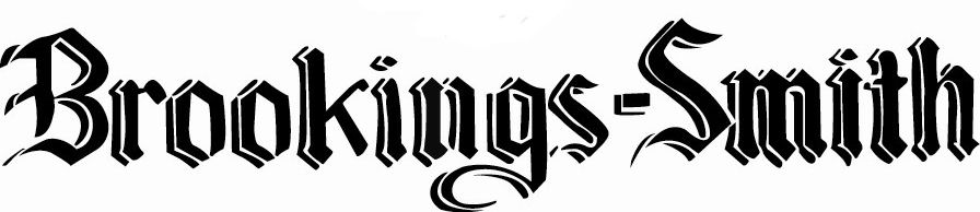 BS Logo